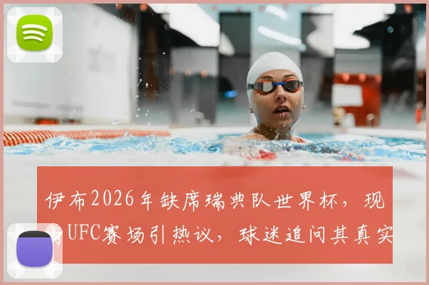 伊布2026年缺席瑞典队世界杯，现身UFC赛场引热议，球迷追问其真实想法